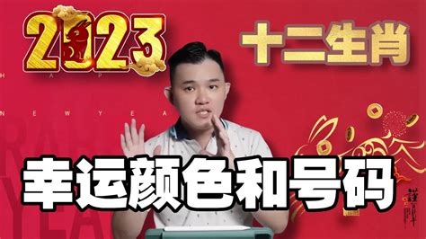 屬兔幸運號碼|屬兔的幸運號碼是幾號？揭秘兔年人的命理秘密